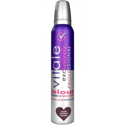 Vitale Colour farbiaca pena na vlasy Plum/Slivková 200ml                        