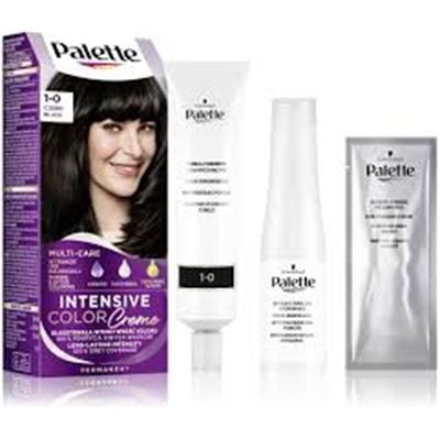 Schwarzkopf PALETTE  čierna  1-0 / N1                                           