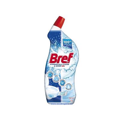 Bref WC gel Fresh Mist 700 ml                                                   